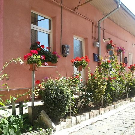 Center Park Apartment Cluj-Napoca Buitenkant foto