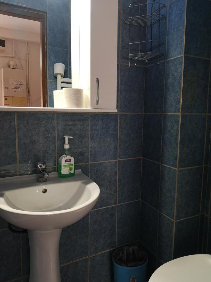 Center Park Apartment Cluj-Napoca Buitenkant foto