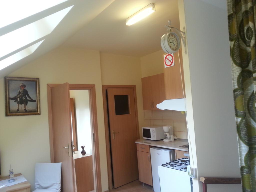Center Park Apartment Cluj-Napoca Buitenkant foto