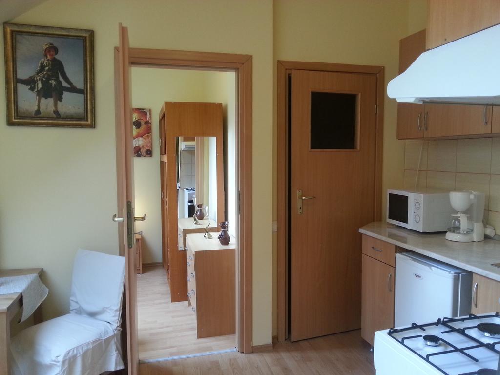 Center Park Apartment Cluj-Napoca Buitenkant foto