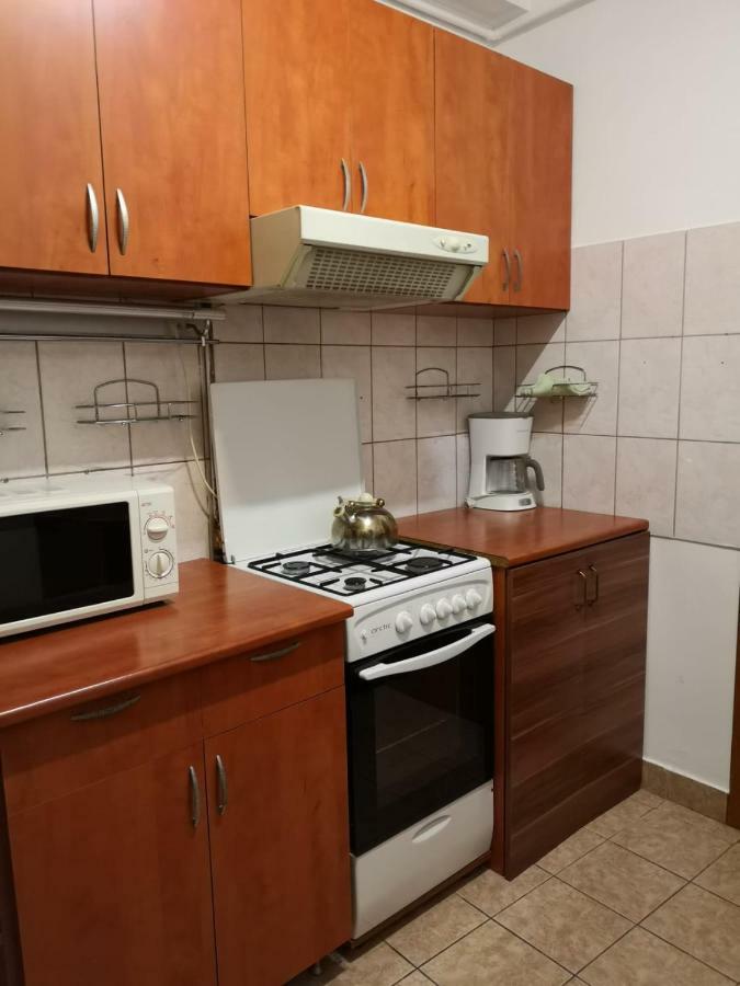 Center Park Apartment Cluj-Napoca Buitenkant foto